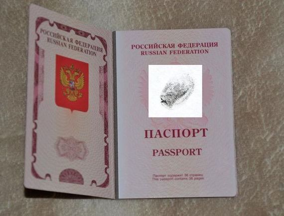прописка в Ипатово